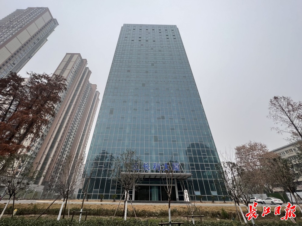 深圳南城迎来重生，取胜意义重大的简单介绍