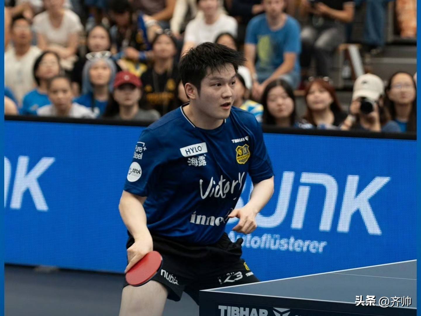 关于波兰乒乓球队逆转德国乒乓球队,樊振东送出助攻的信息 关于波兰乒乓球队逆转德国乒乓球队,樊振东送出助攻的信息