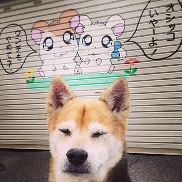 绝境重生，步行者东决关键战力克热火，书写淘汰赛新篇章