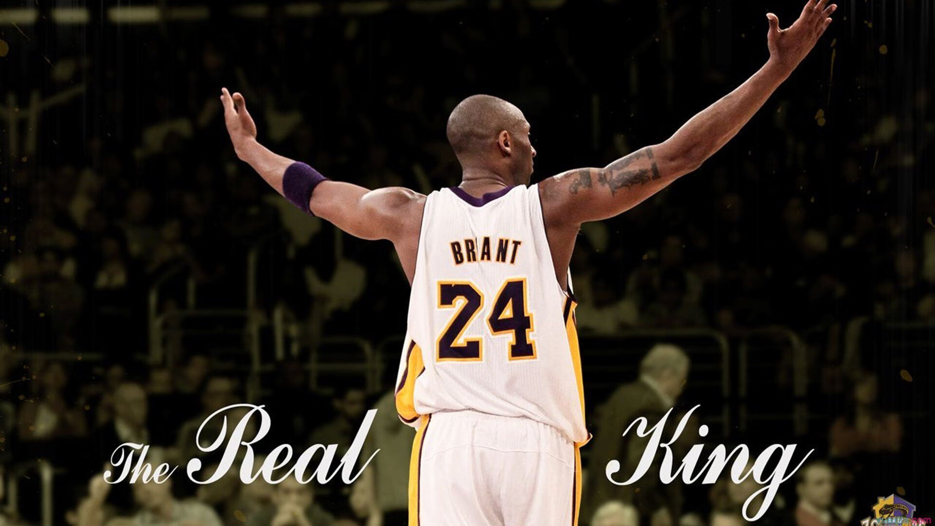 赛道上的王者,汉密尔顿高光表现引领迈凯伦完胜红牛二队